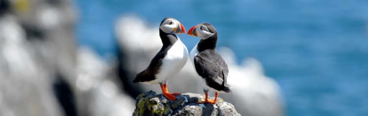 Walking Scotland’s Orkney Islands