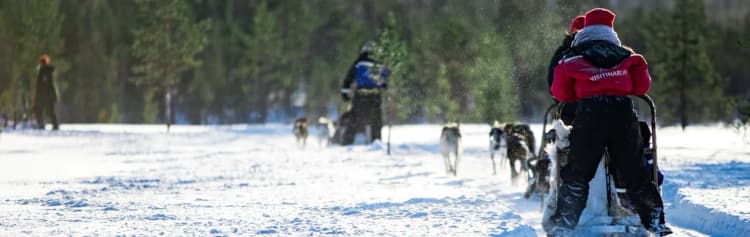 Finnish Lapland Winter Adventure