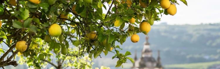 A Taste of Greece - Crete to the Peloponnese