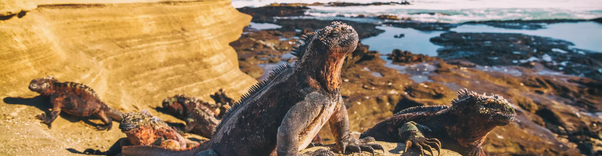 Exploring Ecuador and Galapagos: Your Ultimate European Tourist Guide - Planning Your Trip